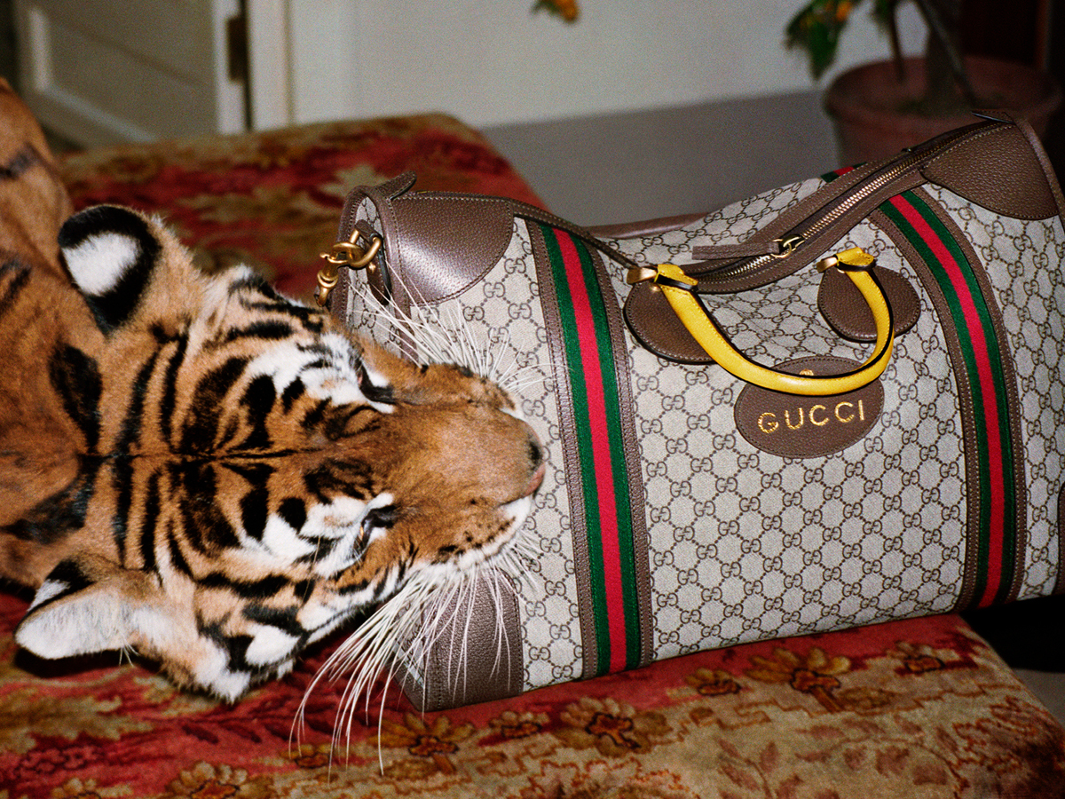 GUCCI Unsuccessful in Trademark Opposition – MARKS IP LAW FIRM