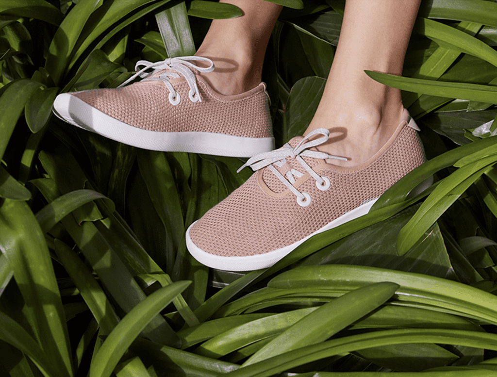 As it Files to Go Public, What Does Allbirds’ Status as a Public Benefit Corporation Really Mean?