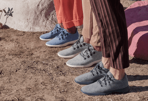 Allbirds Escapes False Advertising Lawsuit Over Sustainability-Centric Ads