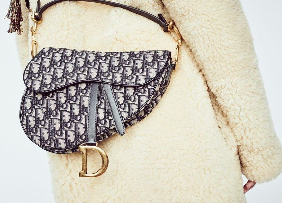 dior saddle On Sale - Authenticated Resale