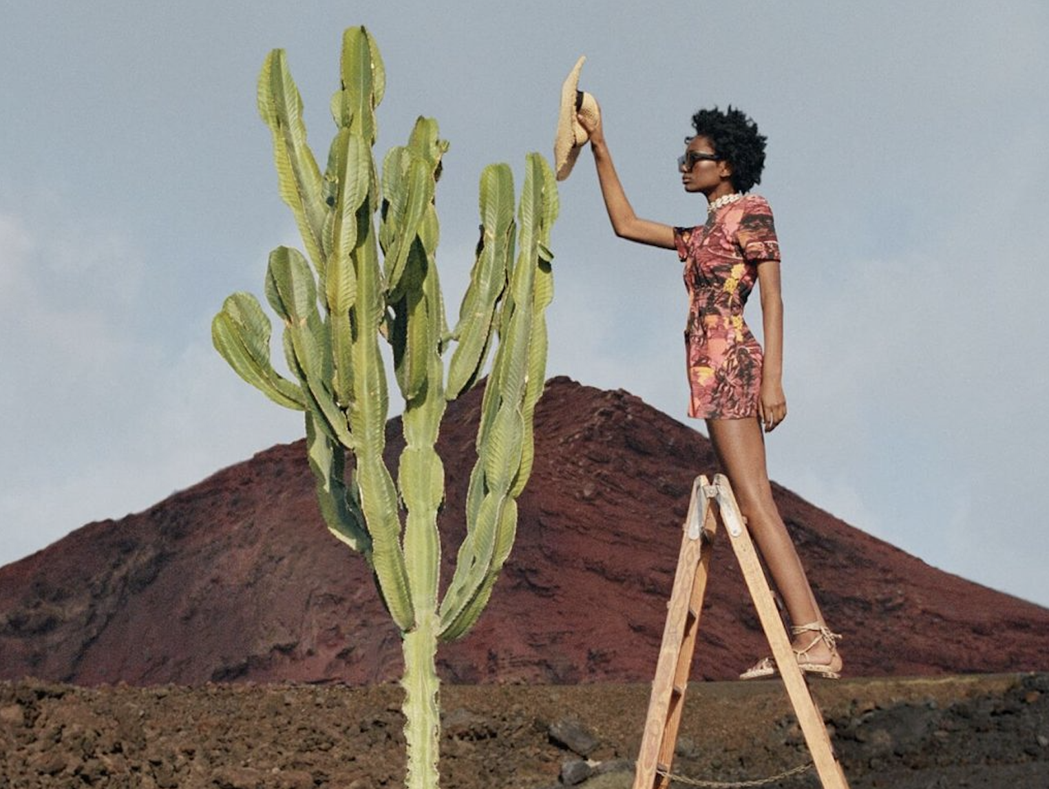 Woman standing on a ladder next to a tree