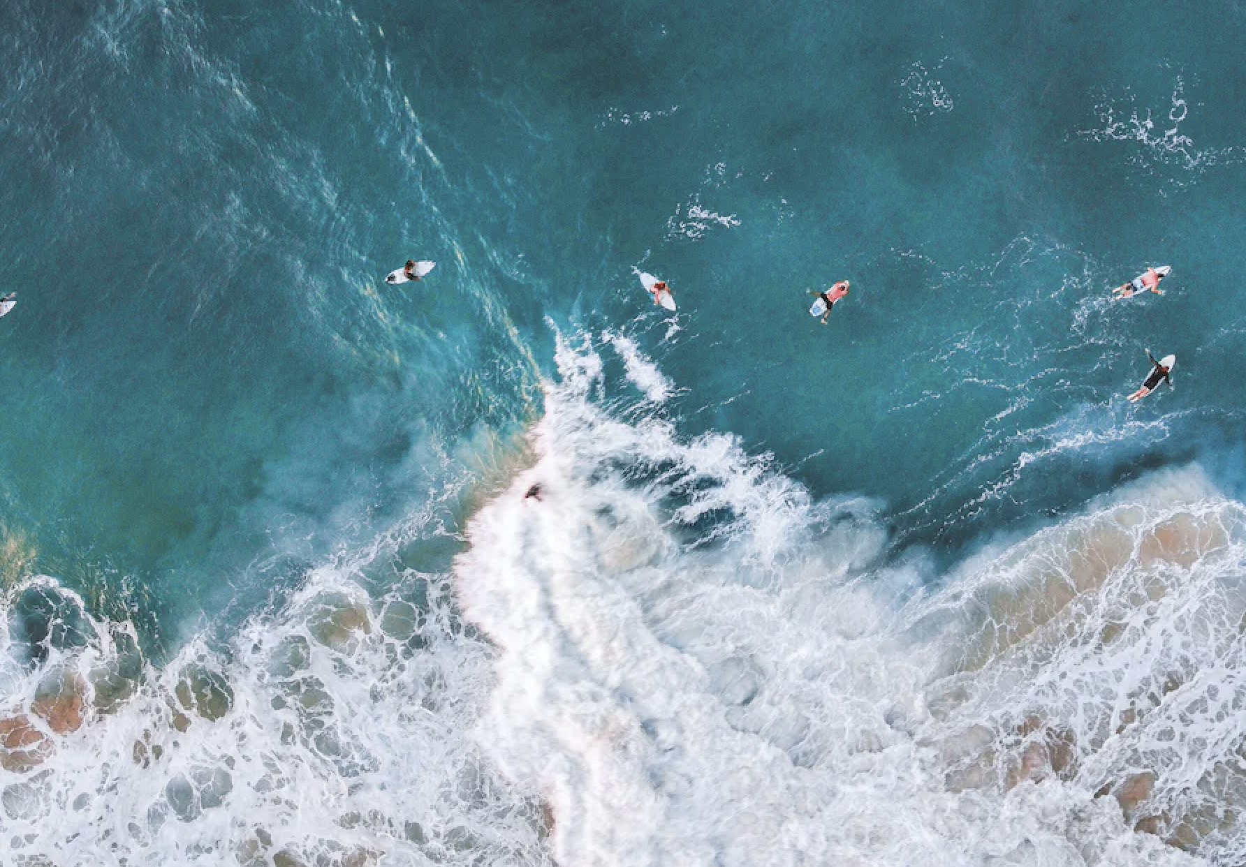 Surfers in the ocean