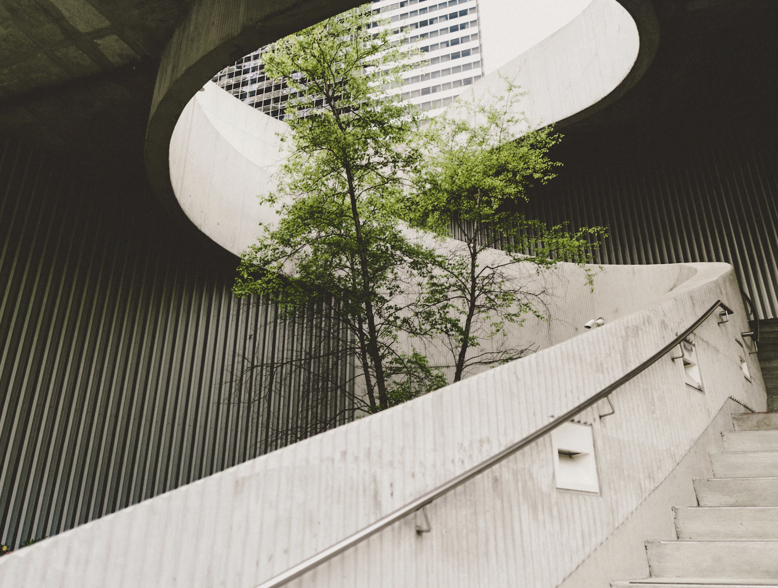 A tree in an atrium