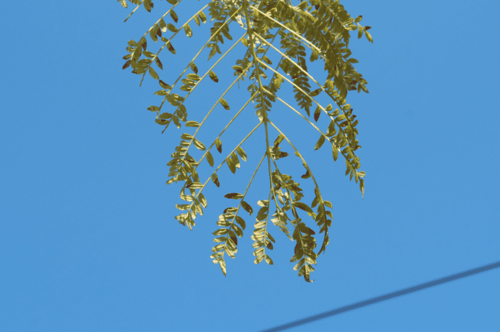 The 2024 Landscape of ESG Legislation in the EU