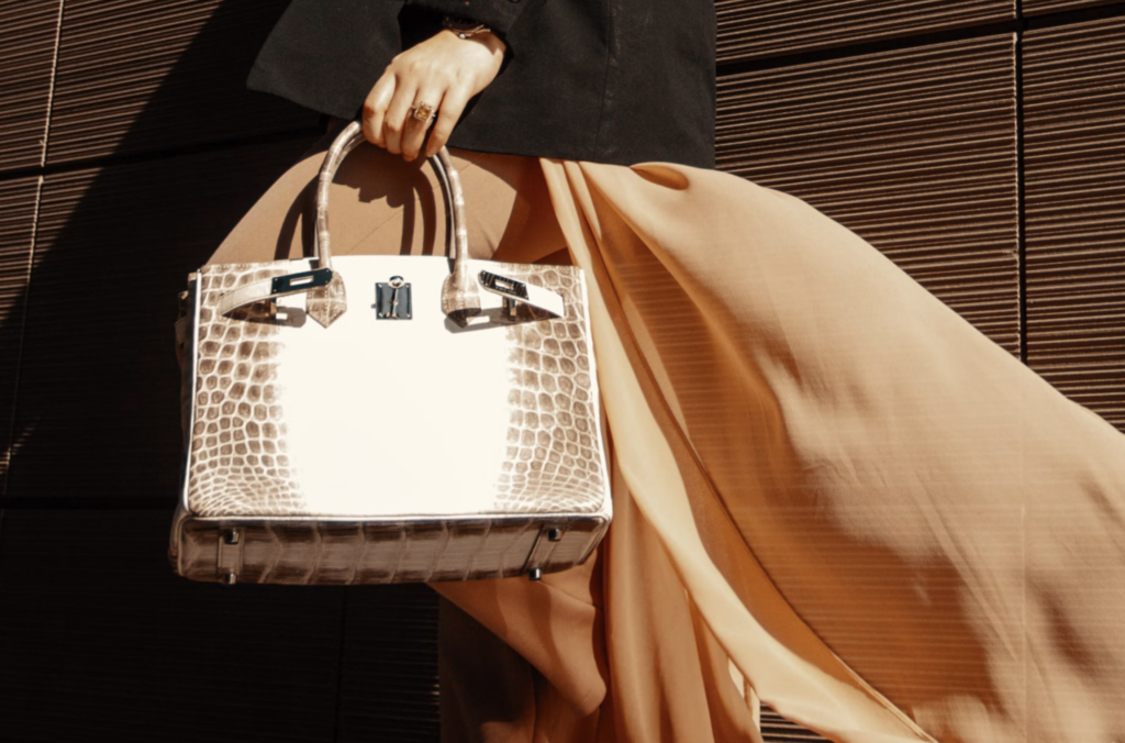 The Birkin Bind: Hermès Faces Risks From Over-Reliance on Leather, Tech Deficit
