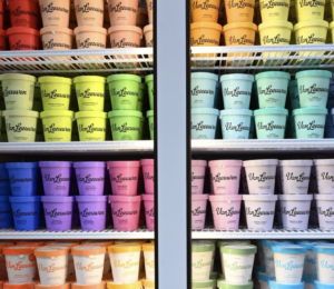 When Does Packaging Become Protectable? Van Leeuwen’s Win Offers a Roadmap
